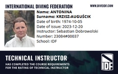 Międzynarodowy instruktor techniczny